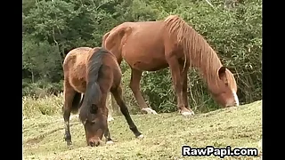 21548 gay sex porn videos